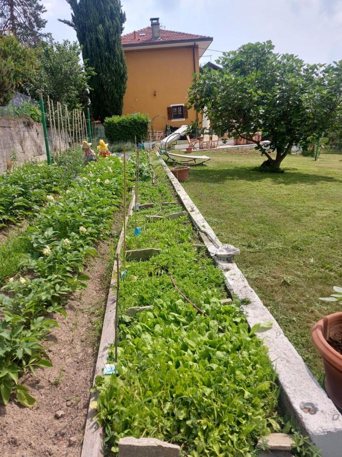 מלון Caselette Casa Dell'Agrifoglio מראה חיצוני תמונה